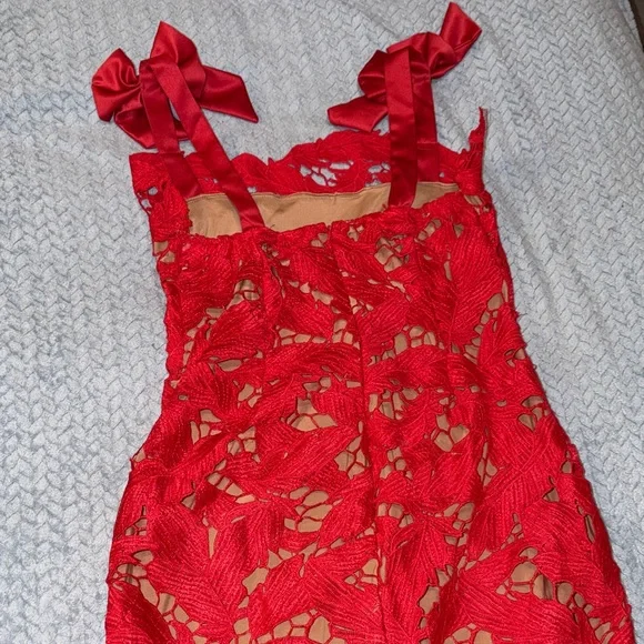 Elegant Red Lace Dress - Picture 4 of 5